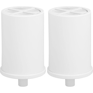 GE Shower Replacement Filter, Removes Chlorine, Fits GXSM01TBL Filtration System, Replace Every 6 Months, FXSCT(1 Count (Pack of 2))